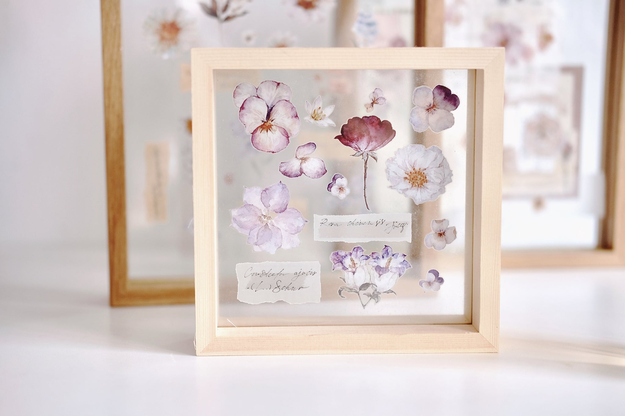 Freckles Tea Tape: Illustrated Flowers Handbook
