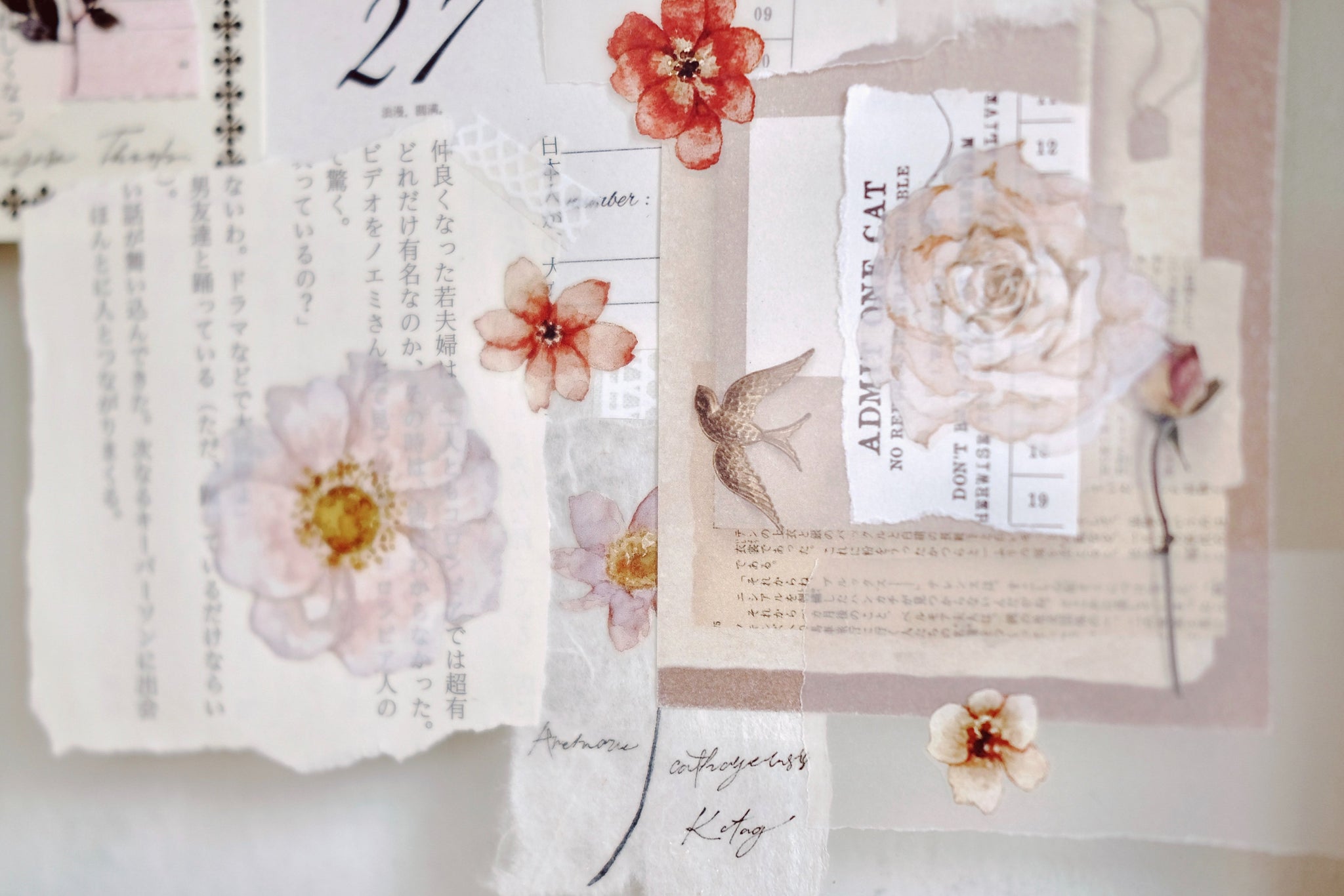 Freckles Tea Tape: Illustrated Flowers Handbook