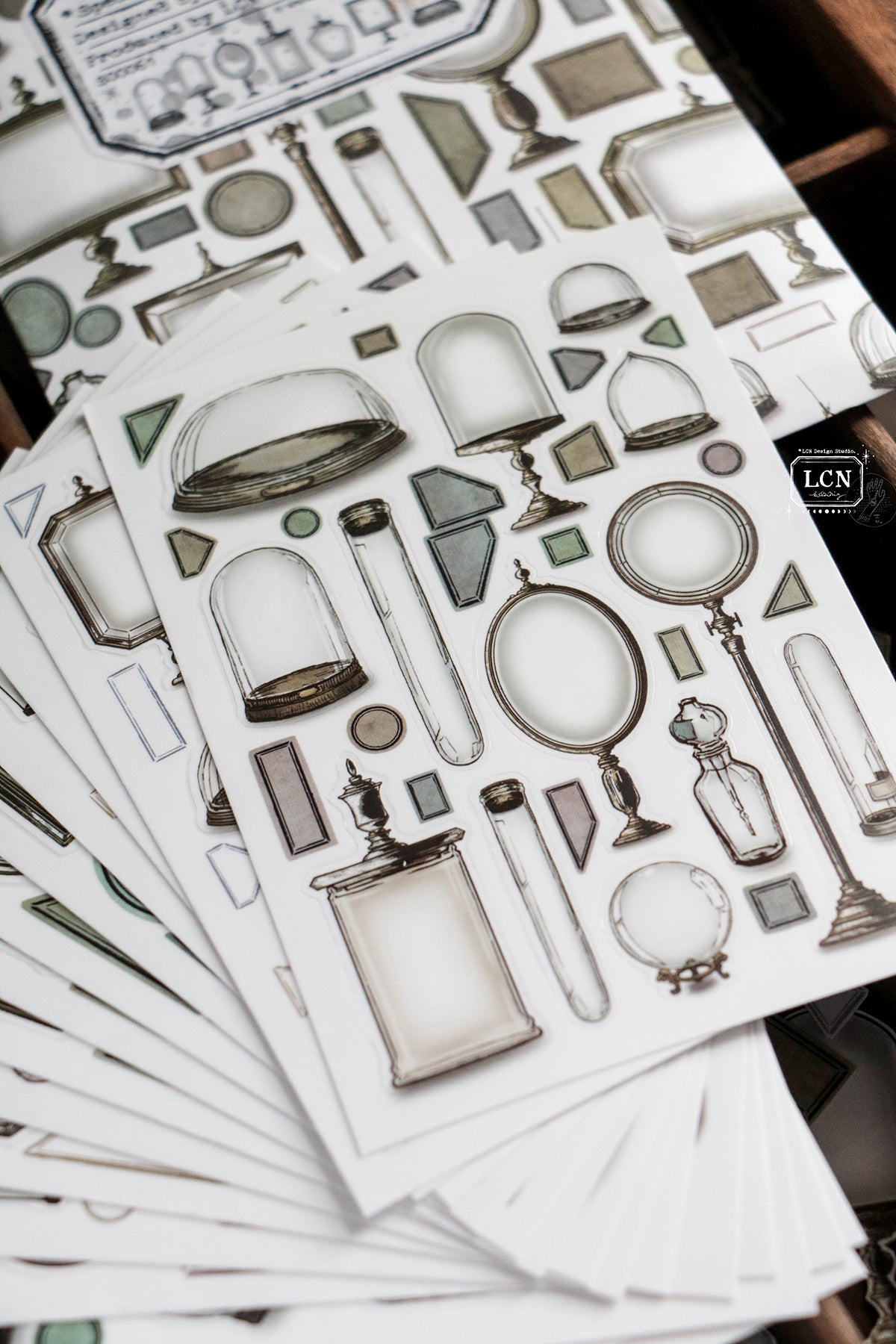 LCN Design Studio: Specimen Display Sticker Sheets
