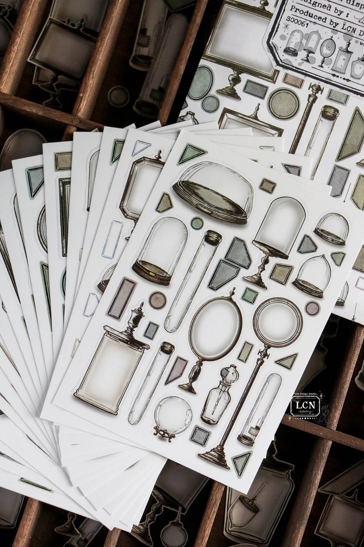 LCN Design Studio: Specimen Display Sticker Sheets