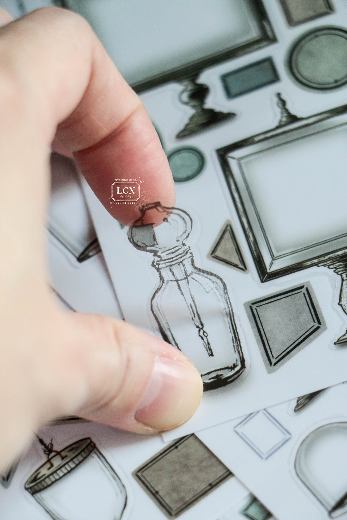 LCN Design Studio: Specimen Display Sticker Sheets