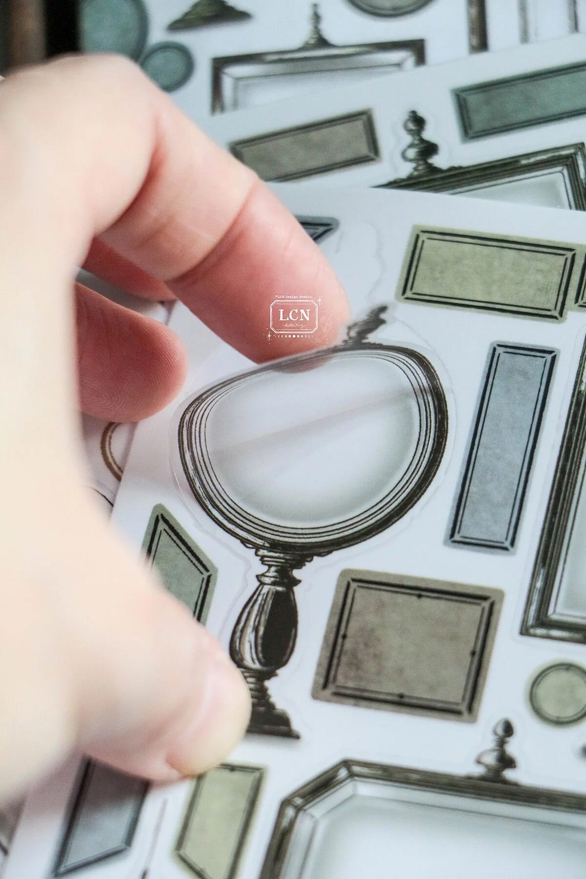 LCN Design Studio: Specimen Display Sticker Sheets