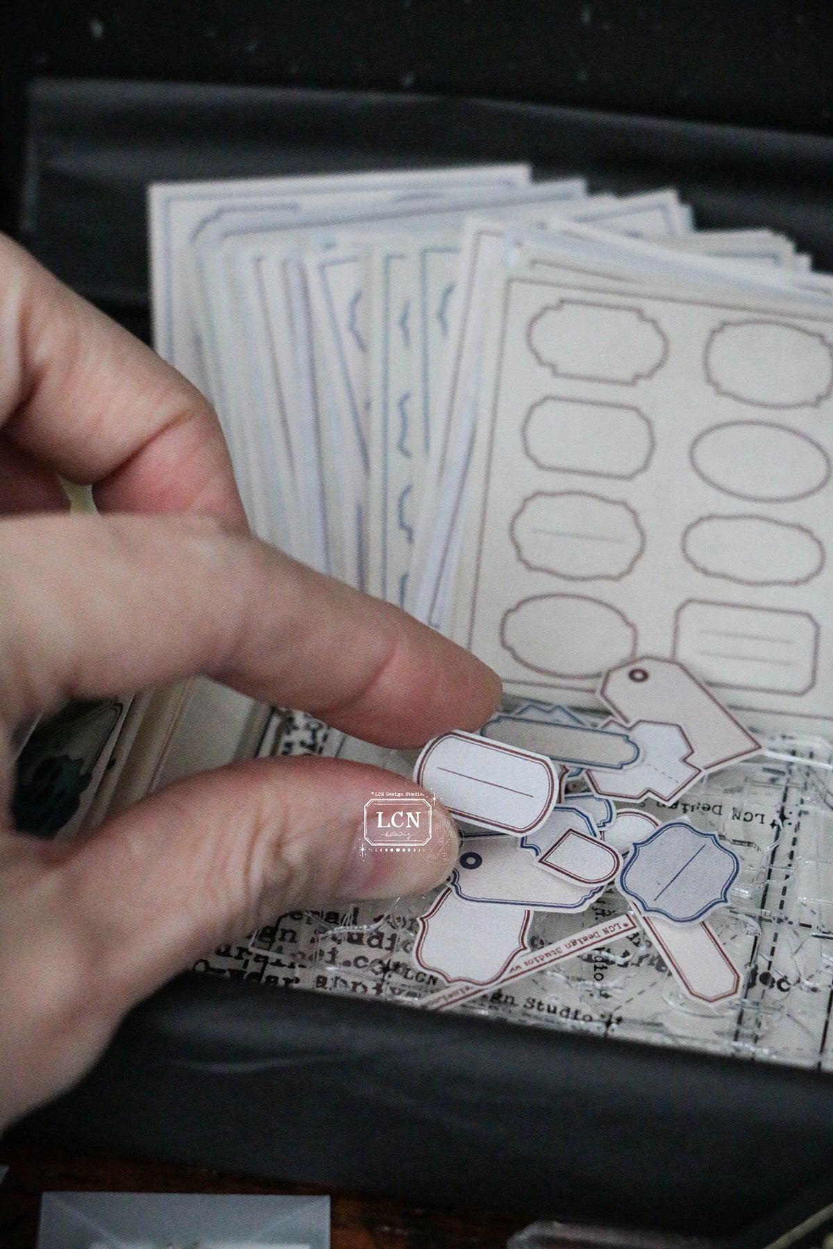 LCN Design Studio: 10th Anniversary Box (Limited Edition)