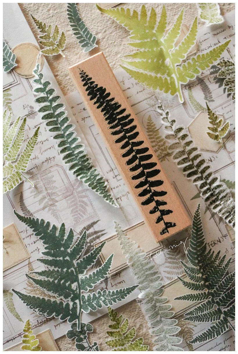 LCN Design Studio: Fern Specimen Rubber Stamps
