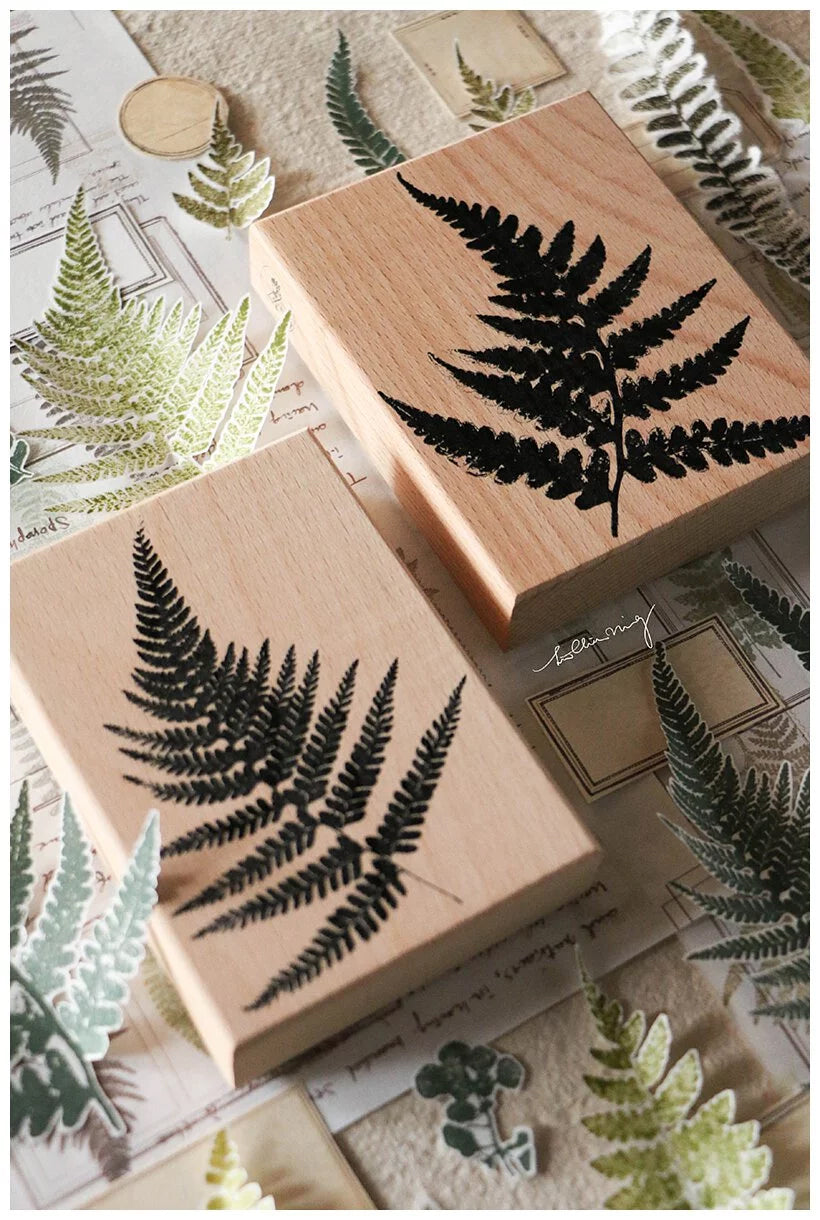 LCN Design Studio: Fern Specimen Rubber Stamps