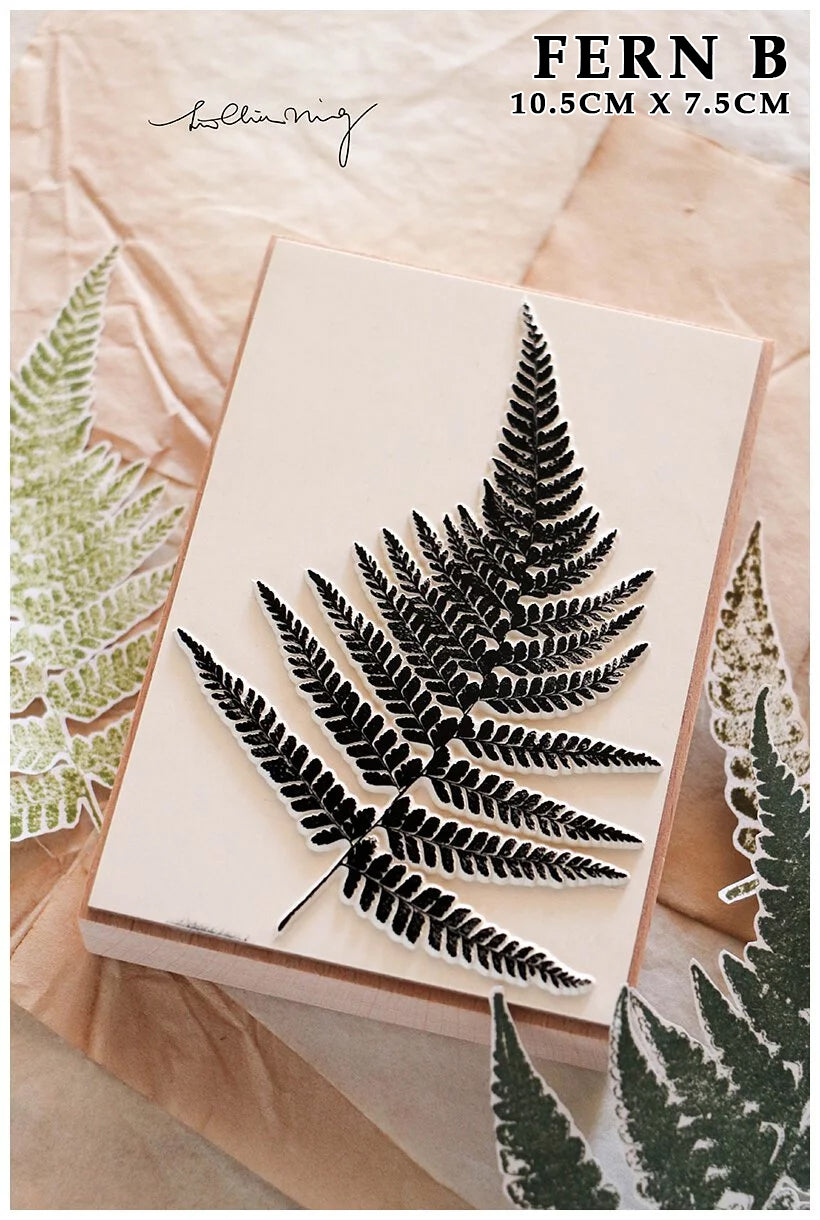 LCN Design Studio: Fern Specimen Rubber Stamps