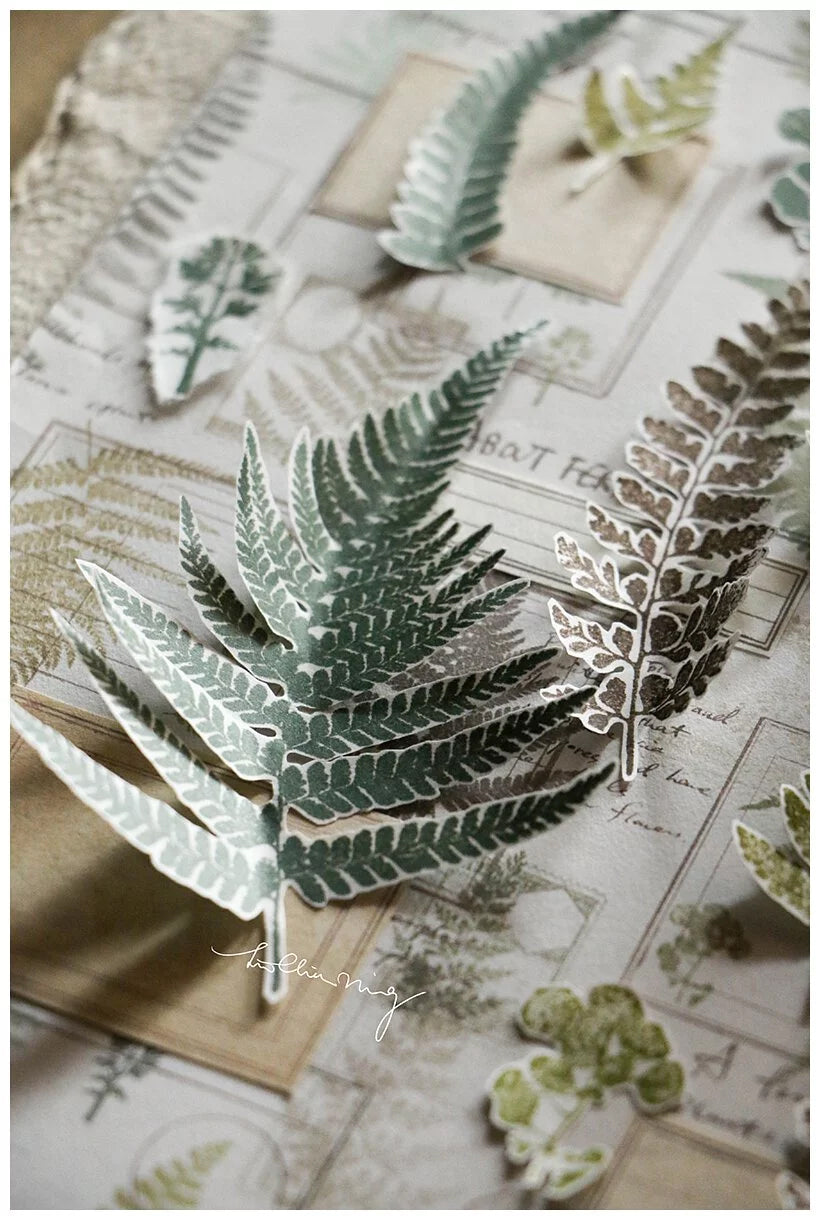 LCN Design Studio: Fern Specimen Rubber Stamps