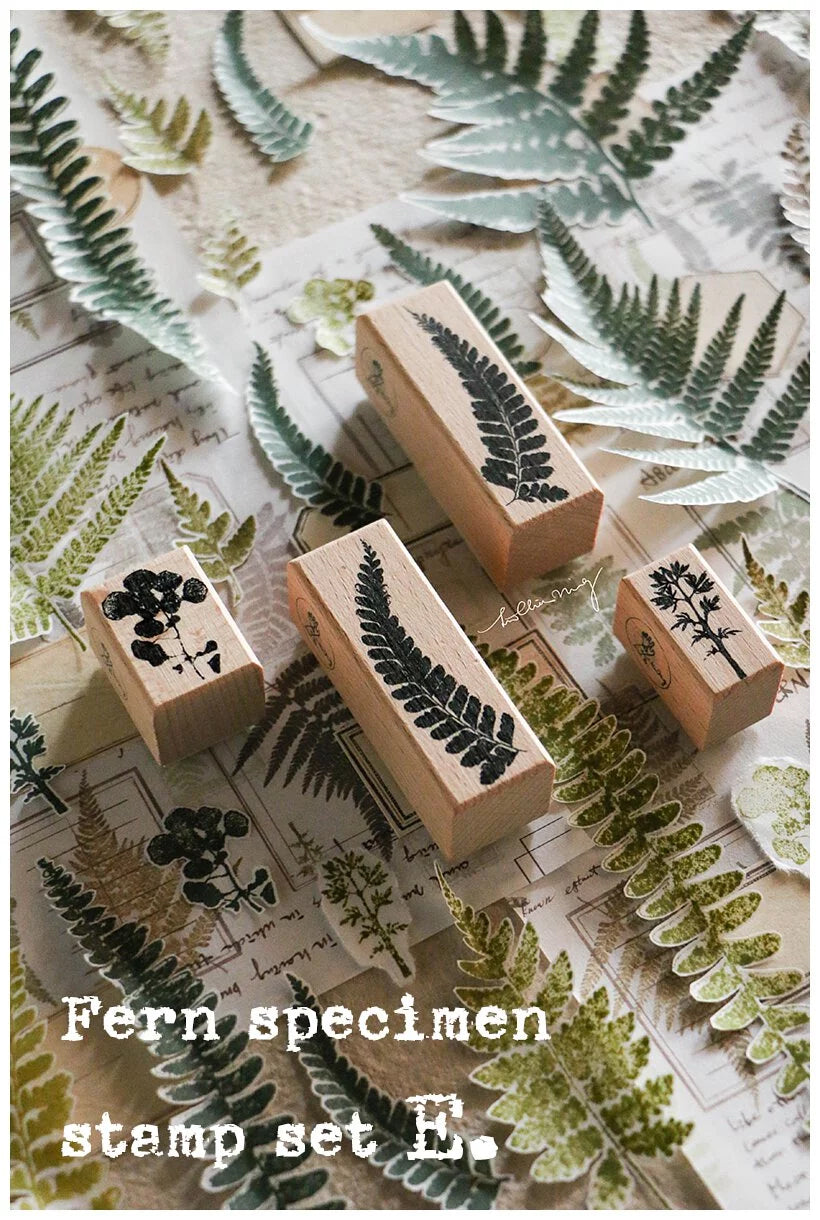 LCN Design Studio: Fern Specimen Rubber Stamps