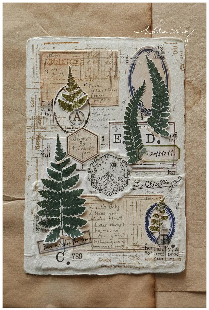 LCN Design Studio: Fern Specimen Rubber Stamps