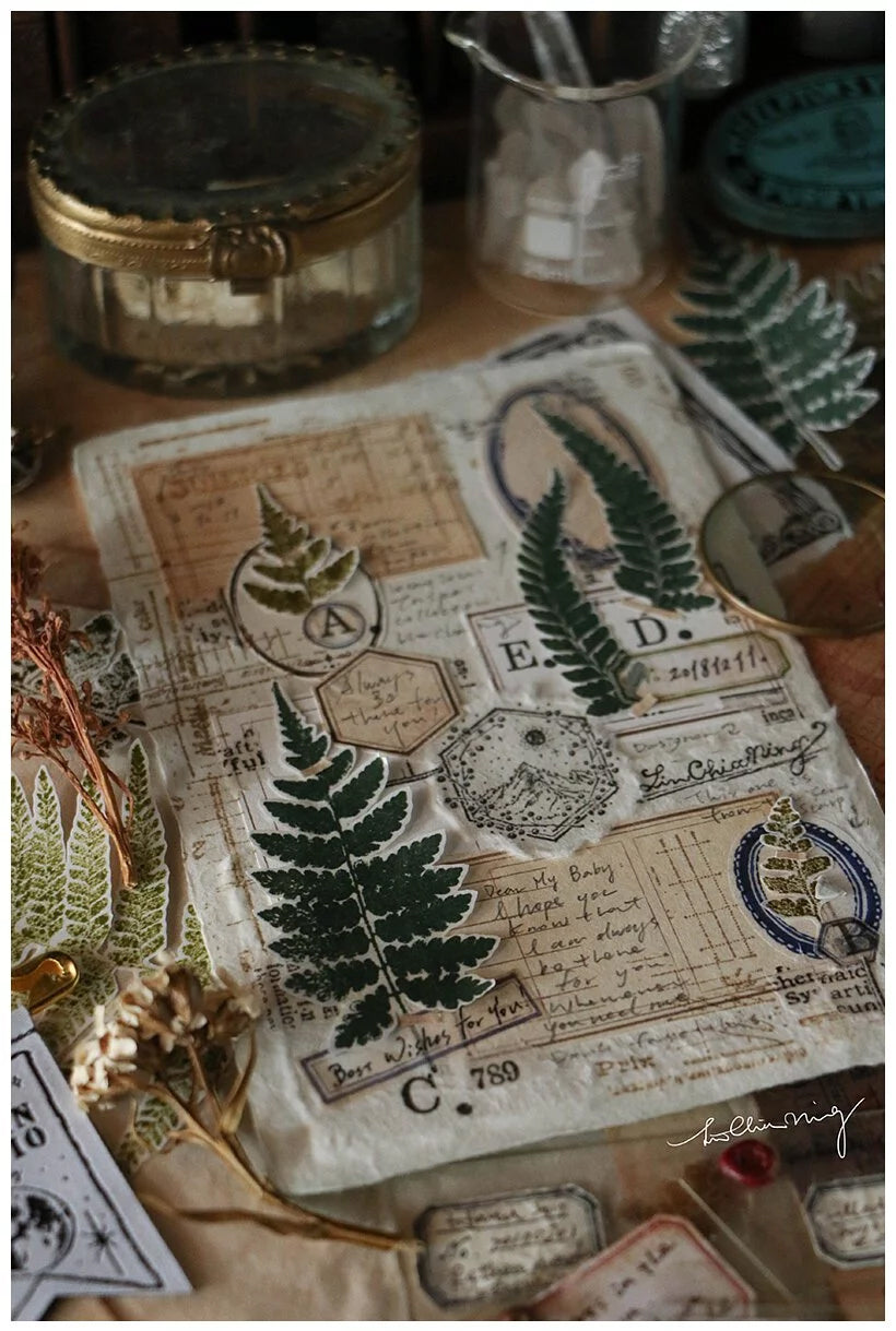 LCN Design Studio: Fern Specimen Rubber Stamps