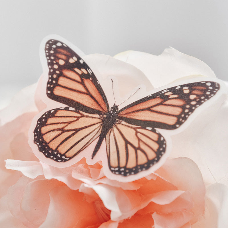 Moths and Butterflies Translucent Stickers Pack