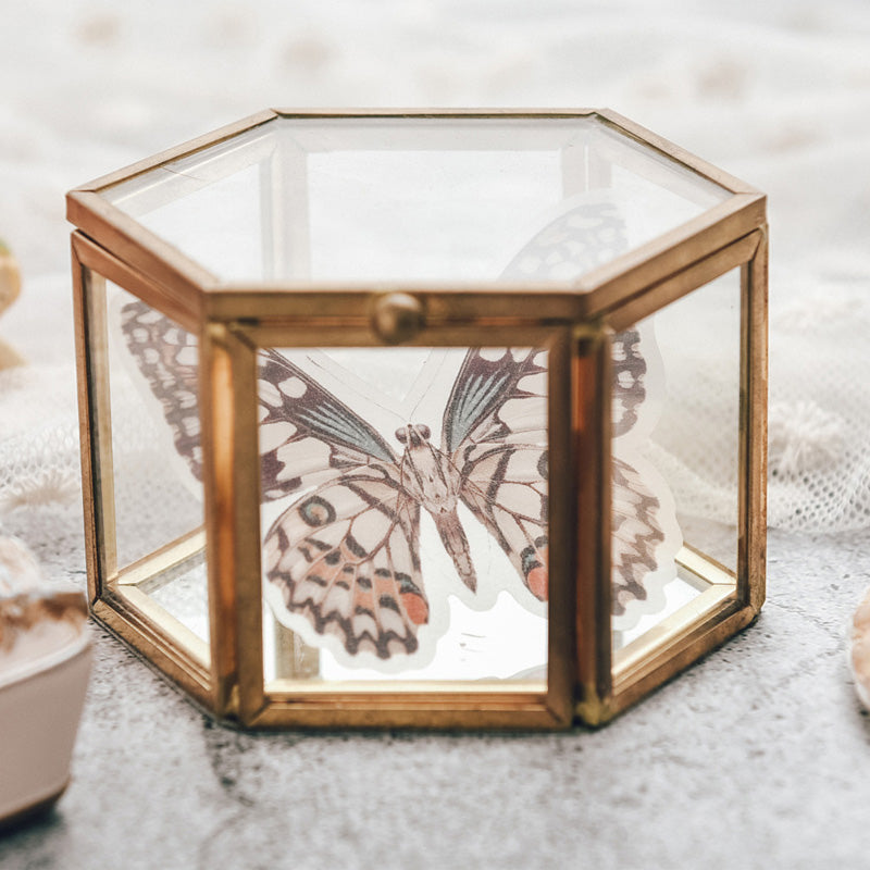 Moths and Butterflies Translucent Stickers Pack
