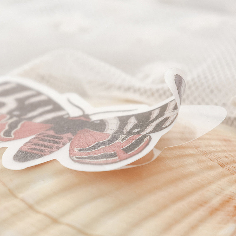 Moths and Butterflies Translucent Stickers Pack