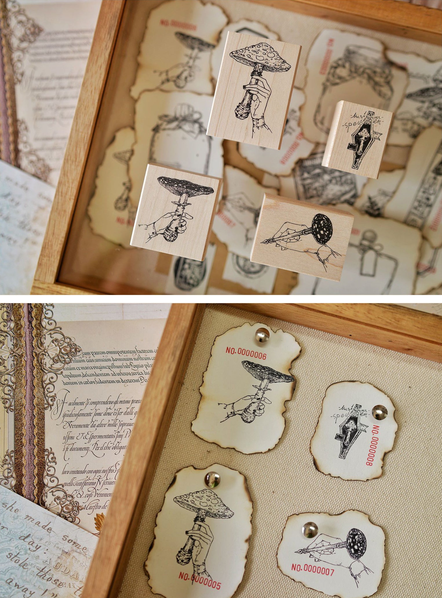 Benchu Studio: Mushroom Collector Stamps (Set B)