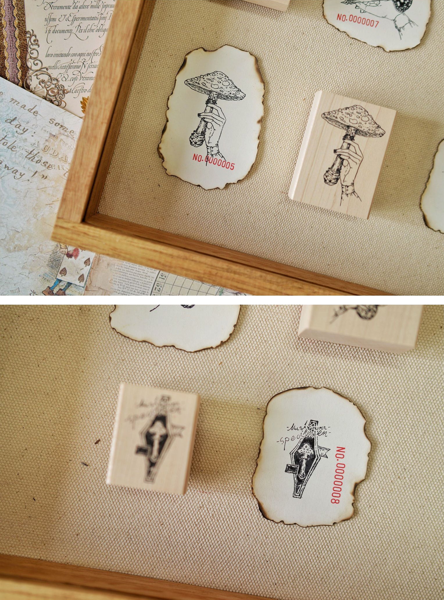 Benchu Studio: Mushroom Collector Stamps (Set B)