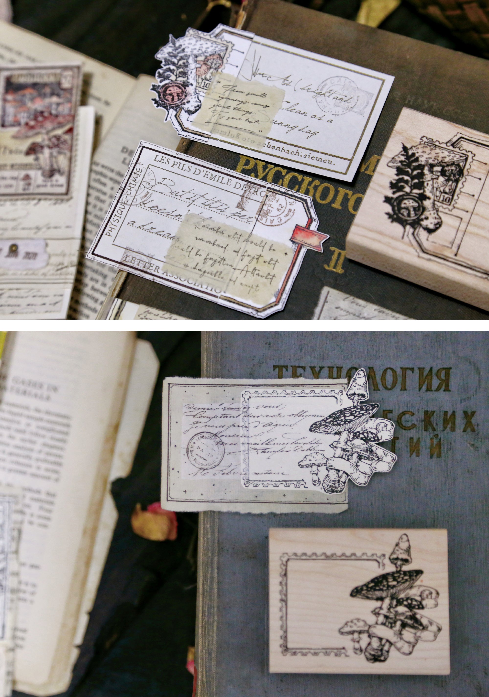 Benchu Studio: Mushroom Collector Stamps (Set C)