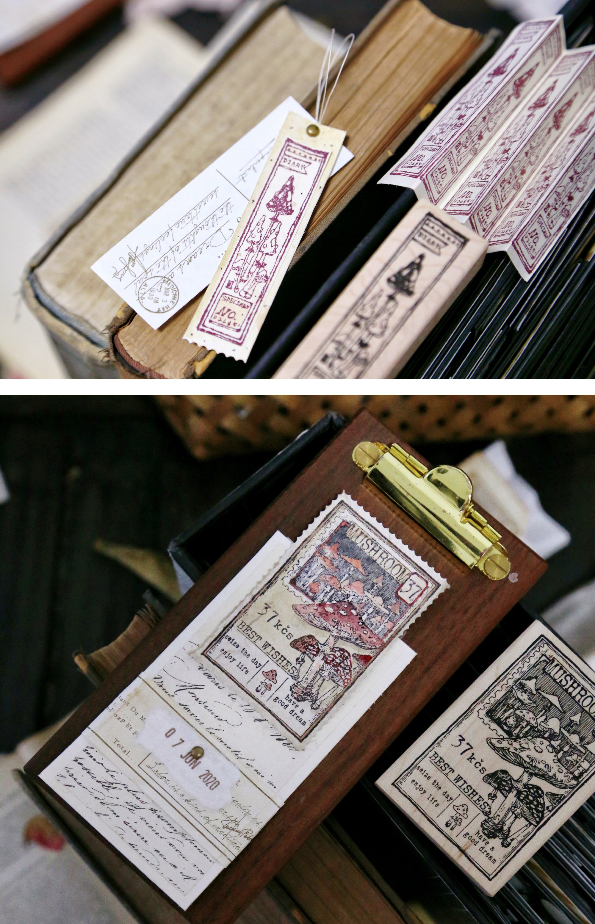 Benchu Studio: Mushroom Collector Stamps (Set C)