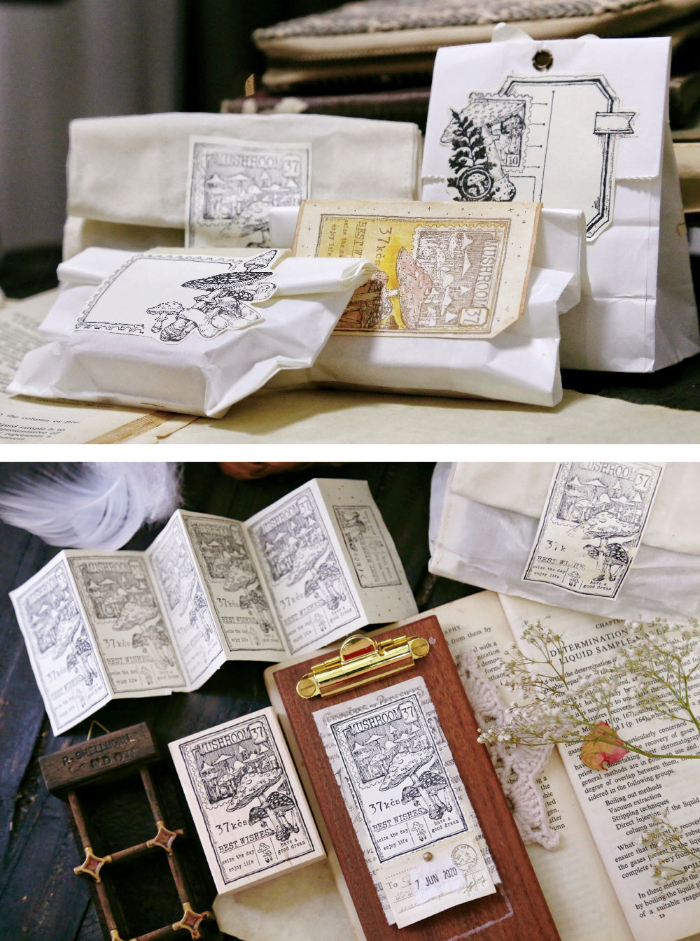 Benchu Studio: Mushroom Collector Stamps (Set C)