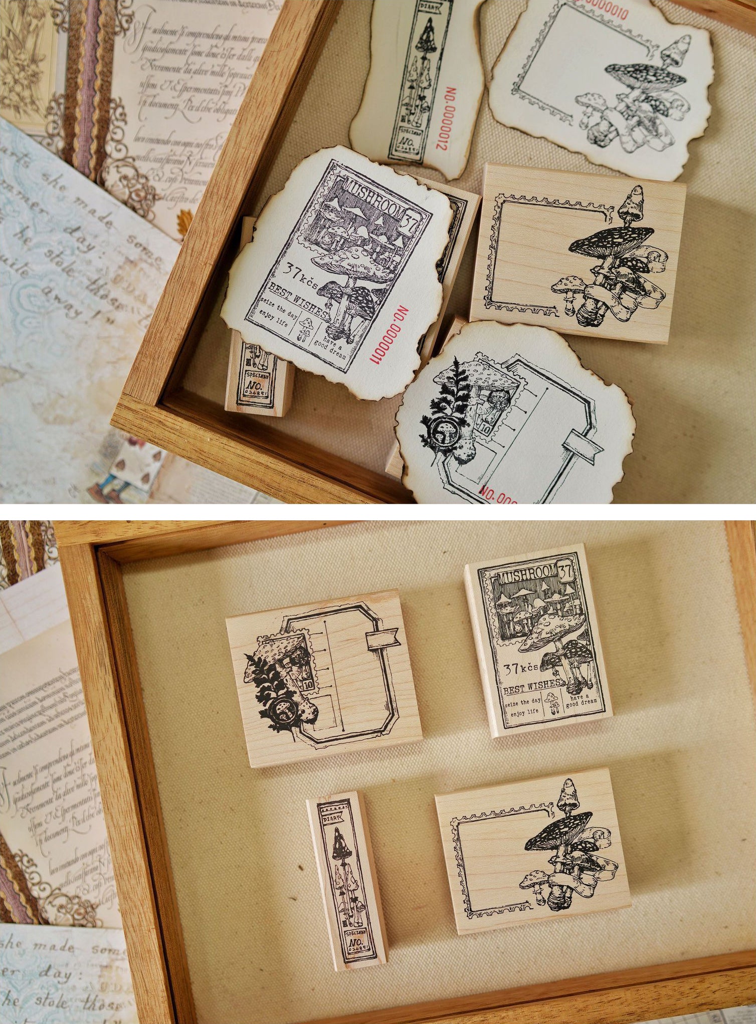 Benchu Studio: Mushroom Collector Stamps (Set C)