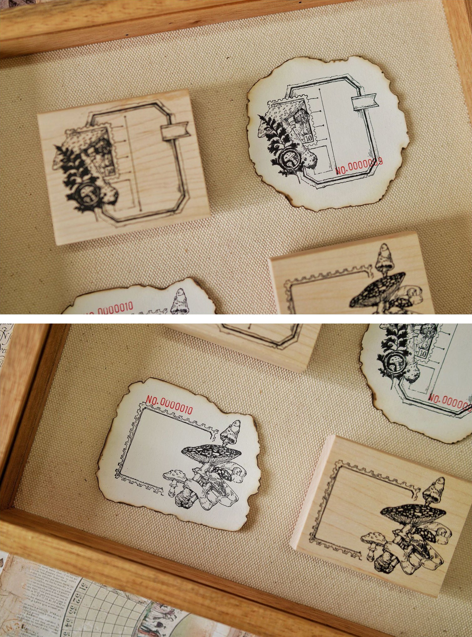 Benchu Studio: Mushroom Collector Stamps (Set C)