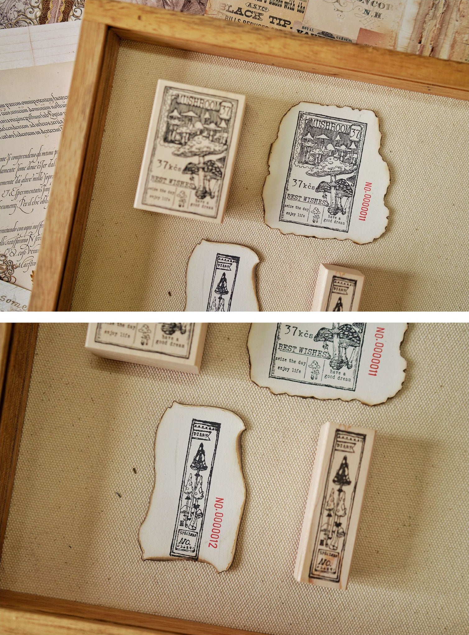 Benchu Studio: Mushroom Collector Stamps (Set C)
