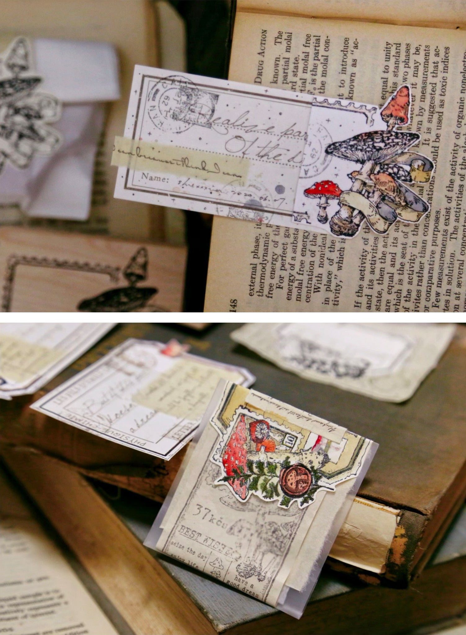 Benchu Studio: Mushroom Collector Stamps (Set C)