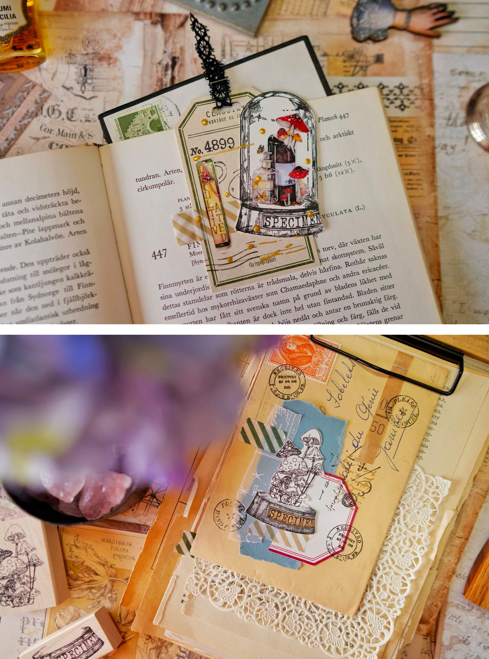 Benchu Studio: Mushroom Collector Stamps (Set E)