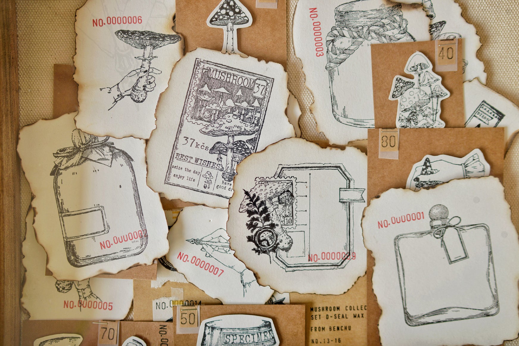 Benchu Studio: Mushroom Collector Stamps Complete Box Set