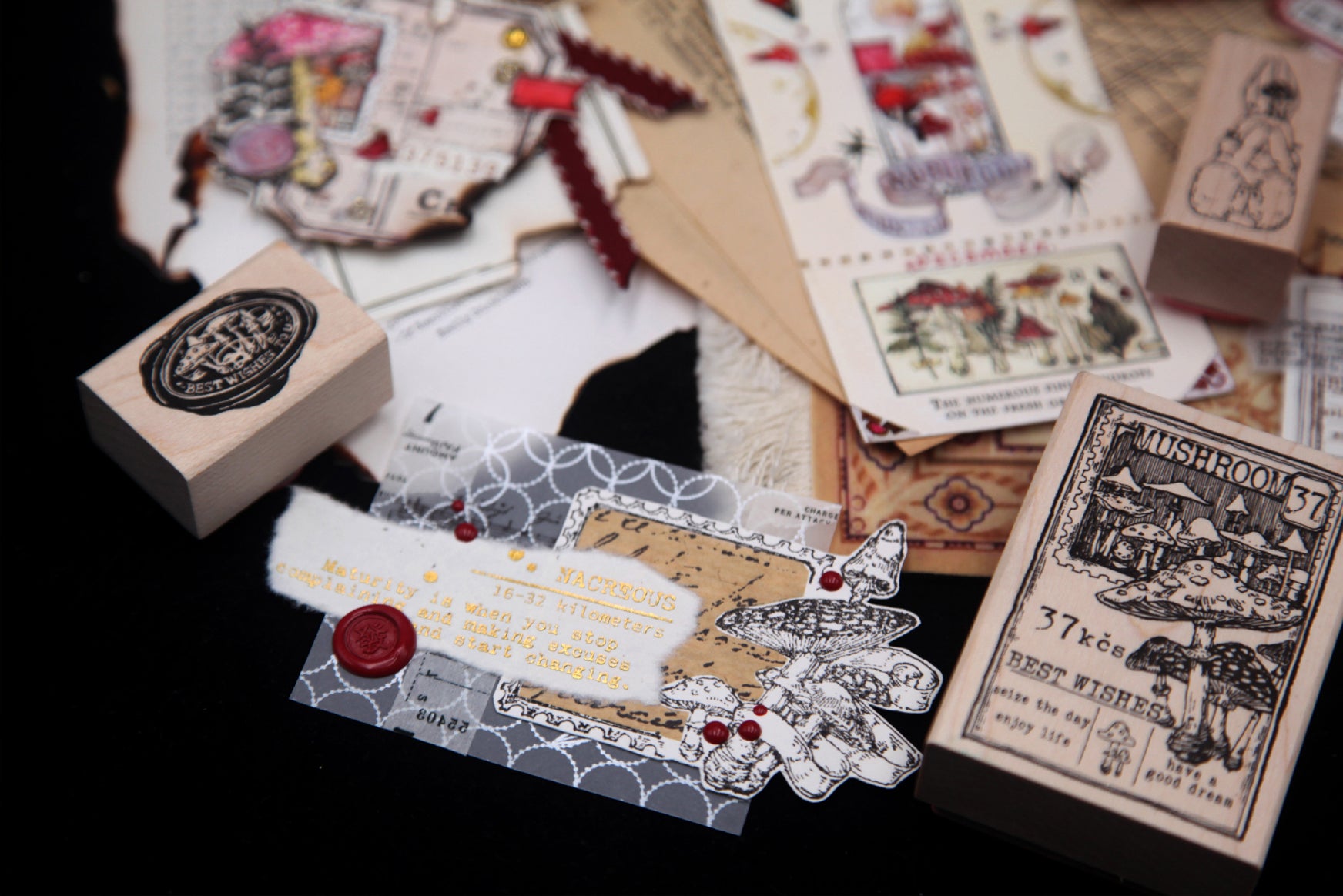 Benchu Studio: Mushroom Collector Stamps Complete Box Set