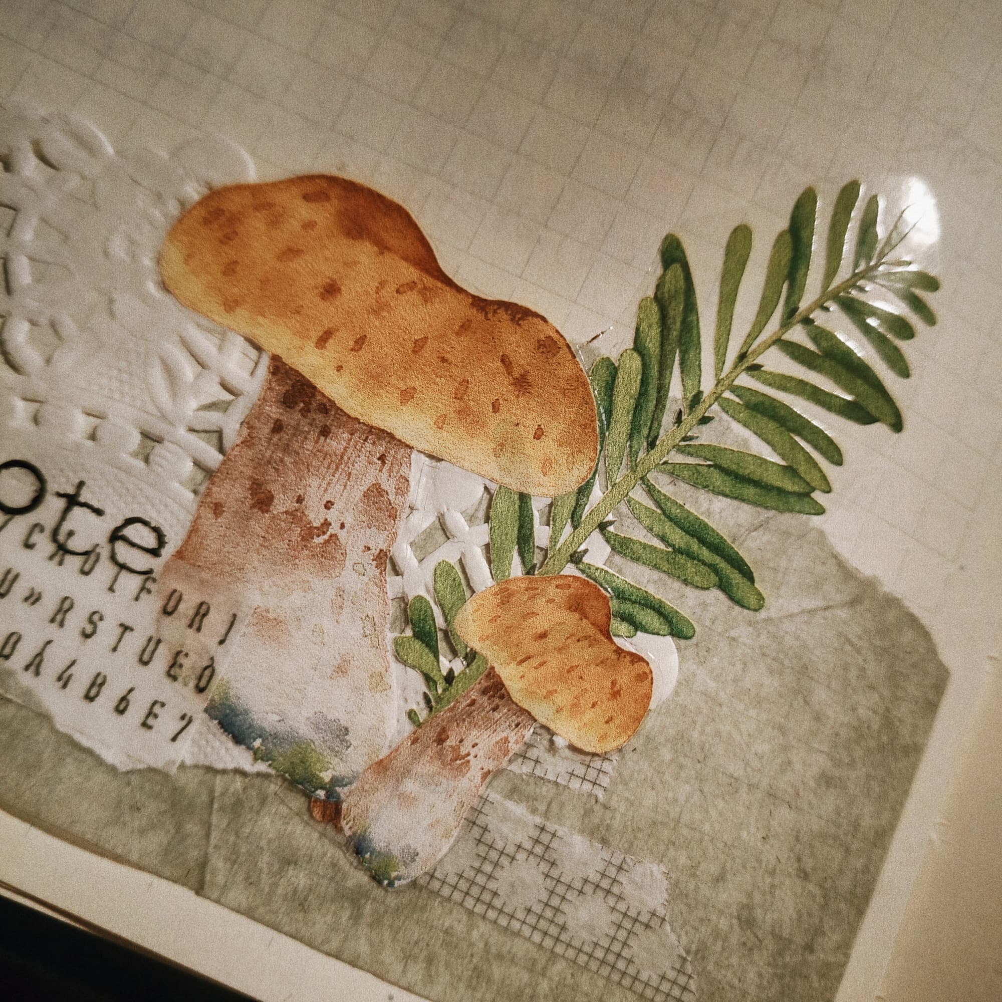 My Little Mushrooms Clear Tape
