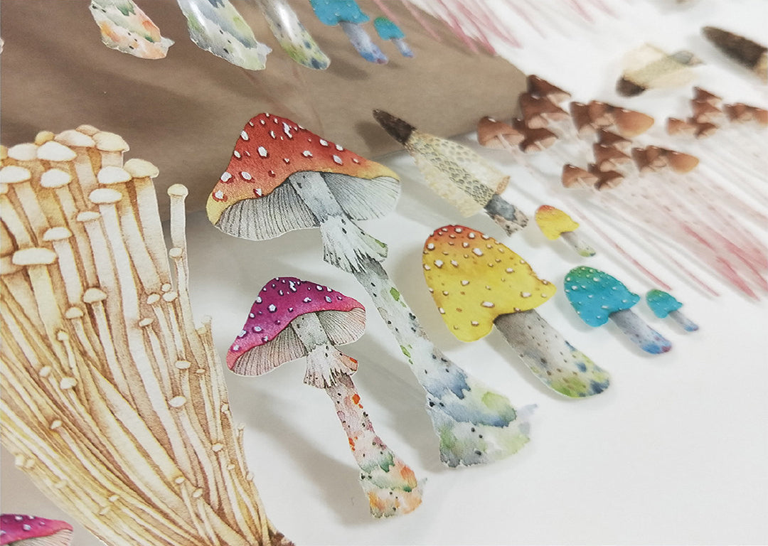 My Little Mushrooms Clear Tape