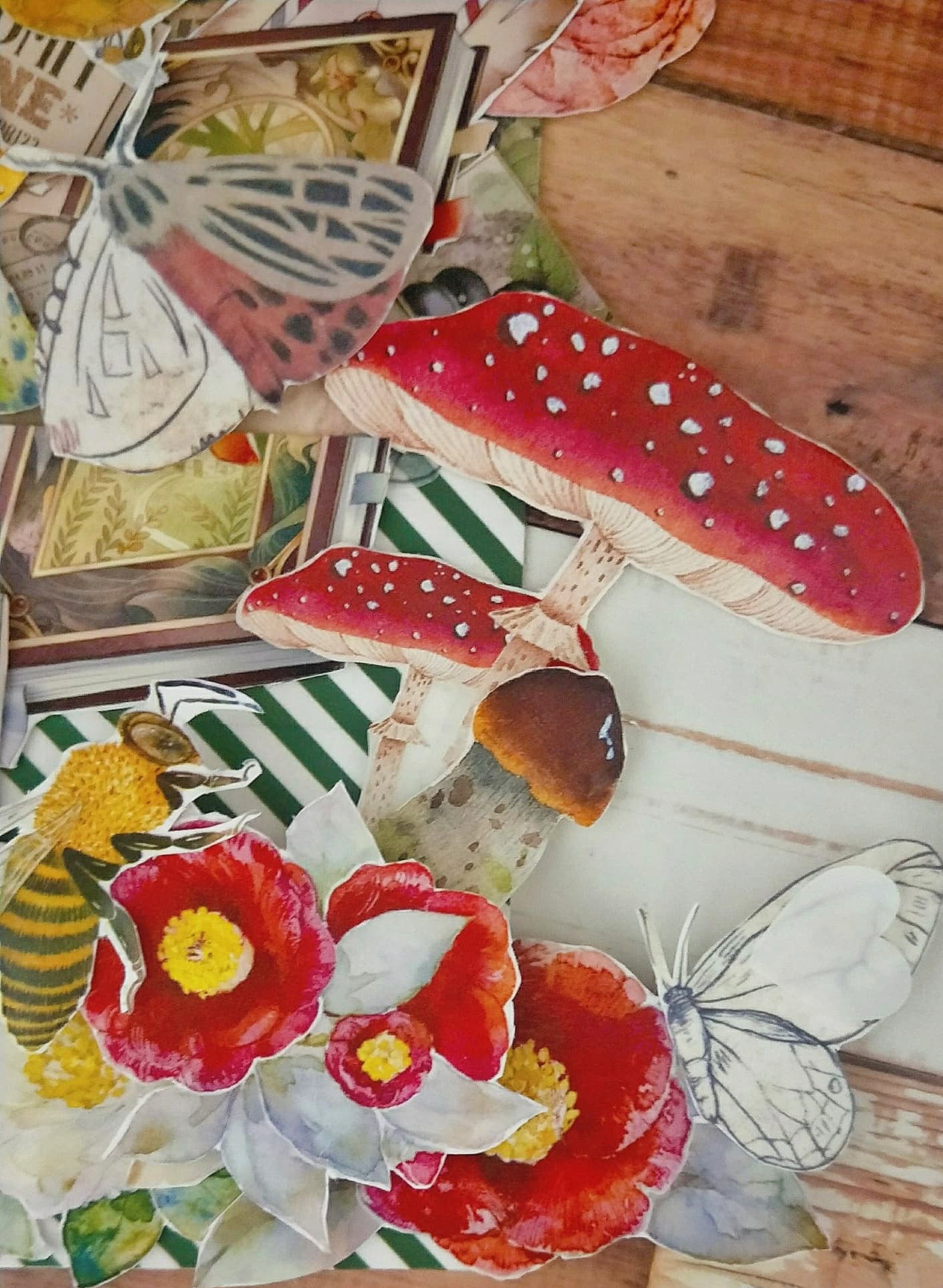 My Little Mushrooms Clear Tape