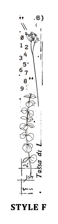 Natural Concerto Wooden Stamps