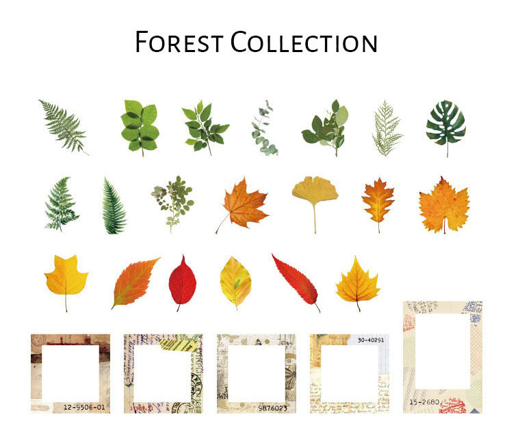 Natural Science Museum Series Clear Stickers