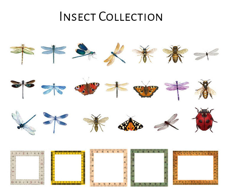 Natural Science Museum Series Clear Stickers