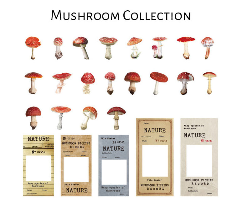 Natural Science Museum Series Clear Stickers