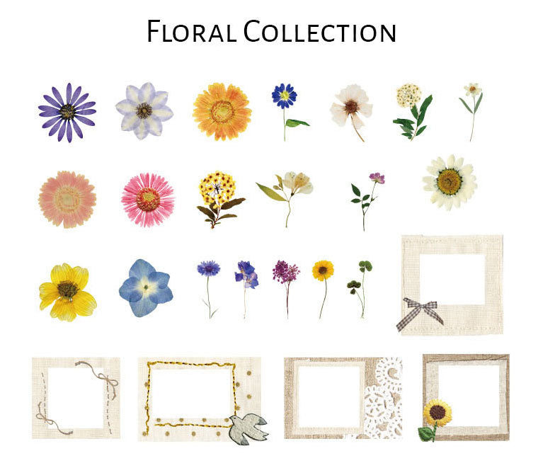 Natural Science Museum Series Clear Stickers