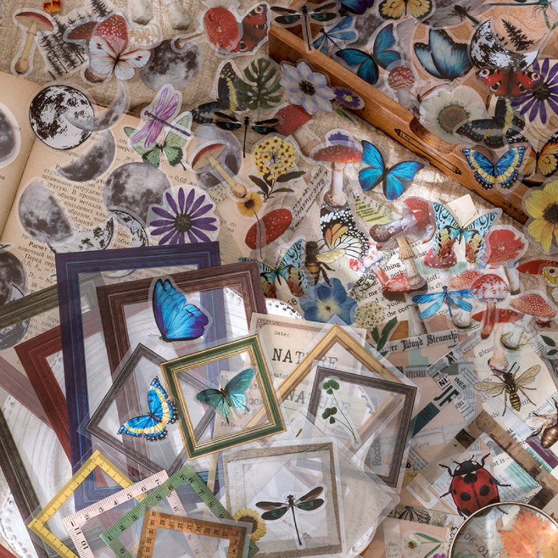 Natural Science Museum Series Clear Stickers