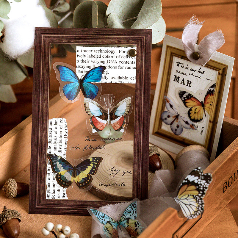 Natural Science Museum Series Clear Stickers