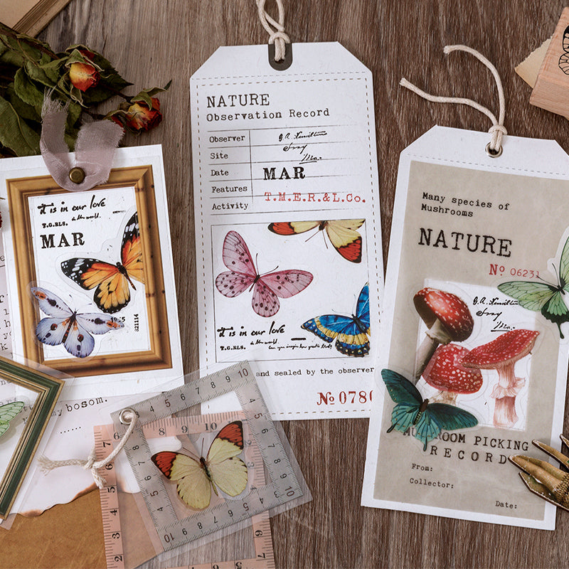Natural Science Museum Series Clear Stickers