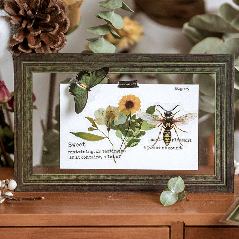 Natural Science Museum Series Clear Stickers