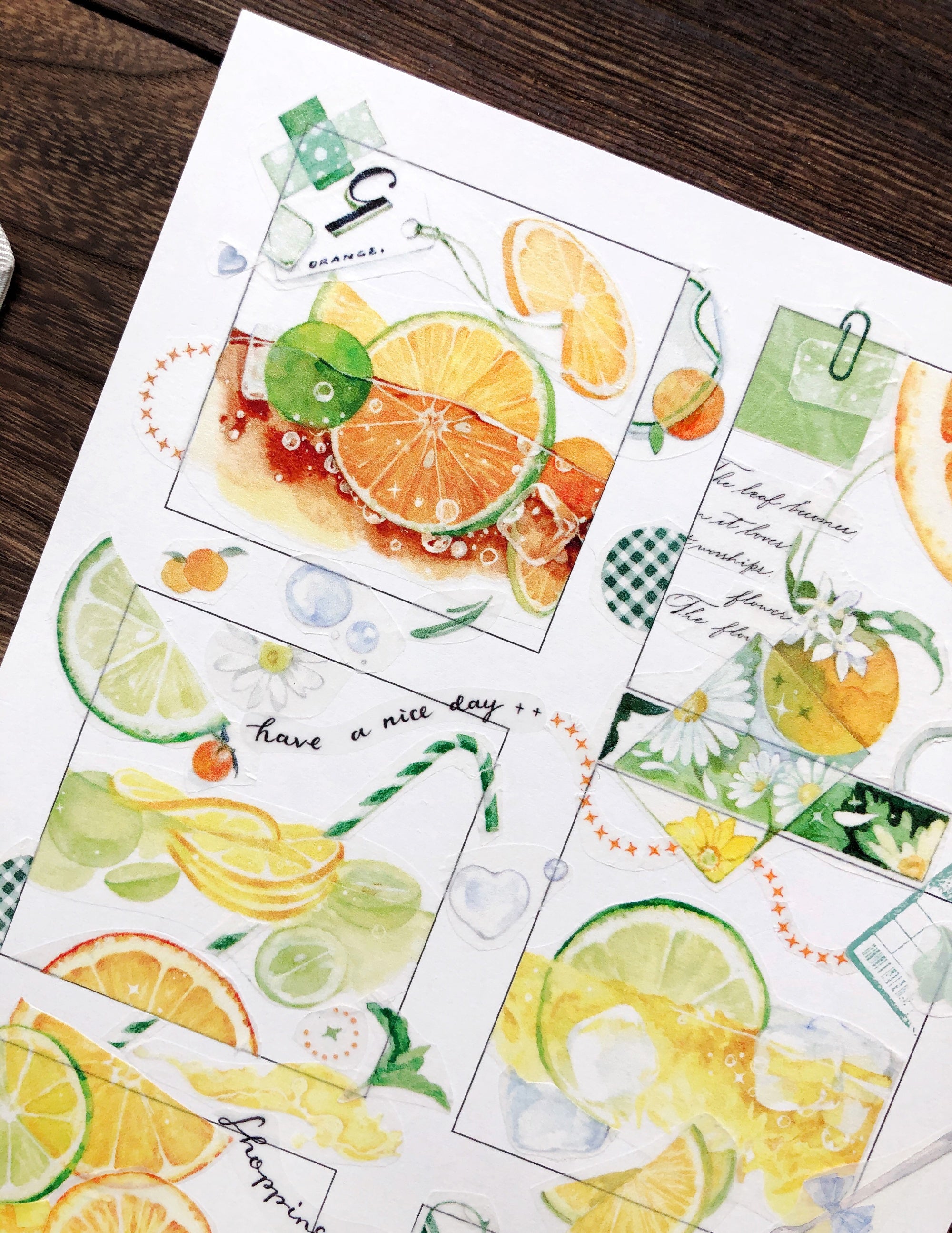 Neinei Illustration Masking Tape: Orange, Grapes, and Mango