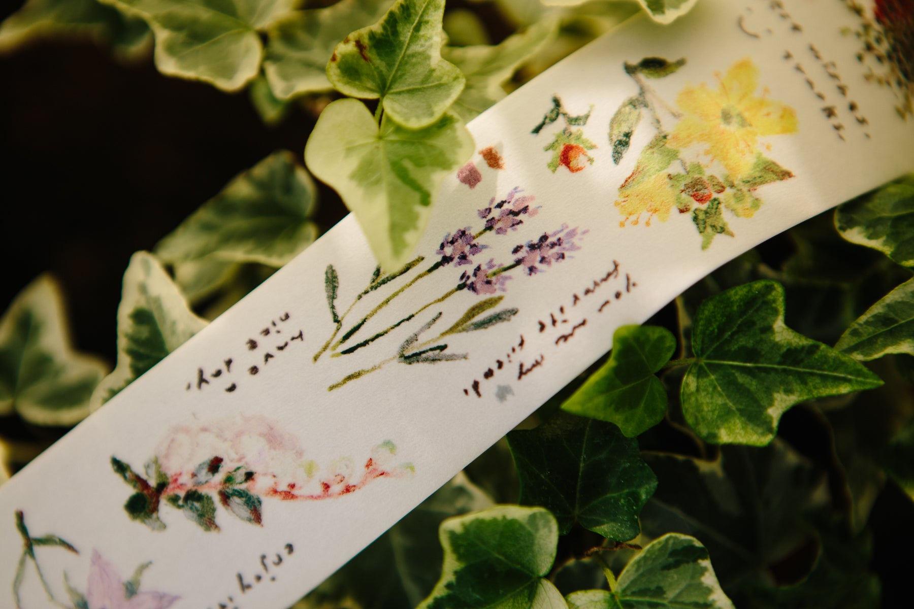 OURS Washi Tape: Message