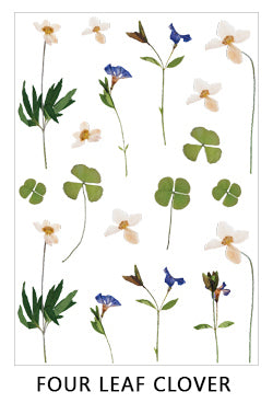 Clear Flowers Sticker Sheet