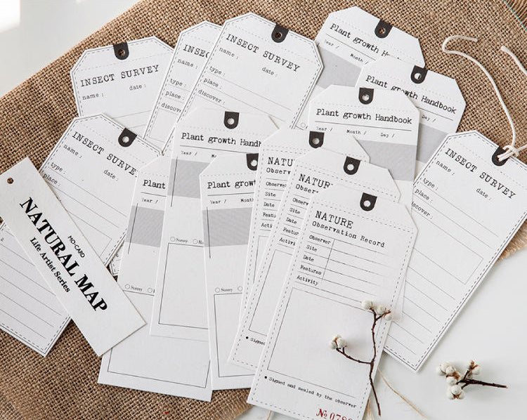 Assorted Cardstock Hang Tags