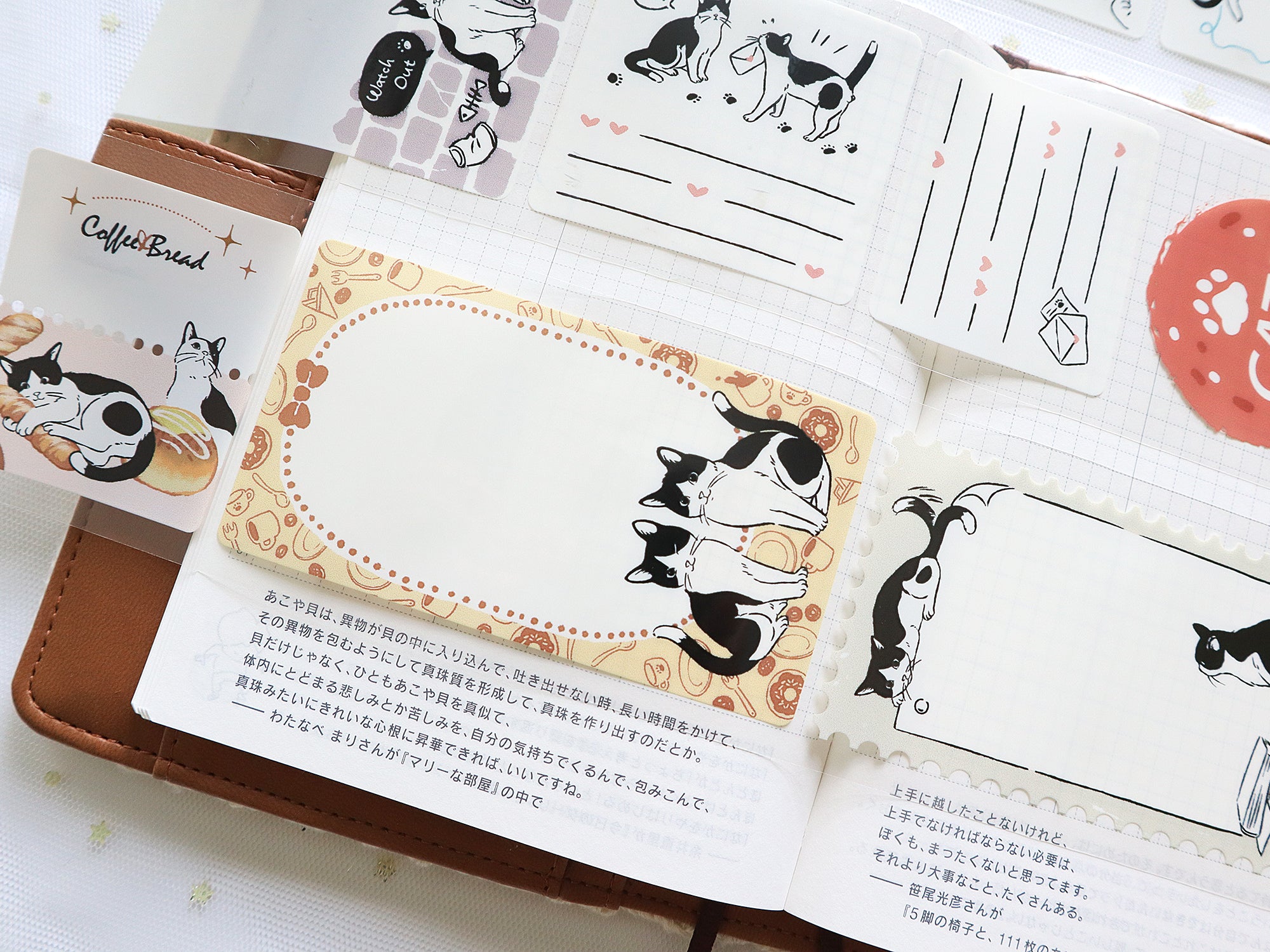Frolicking Cats: Memo PET Tape