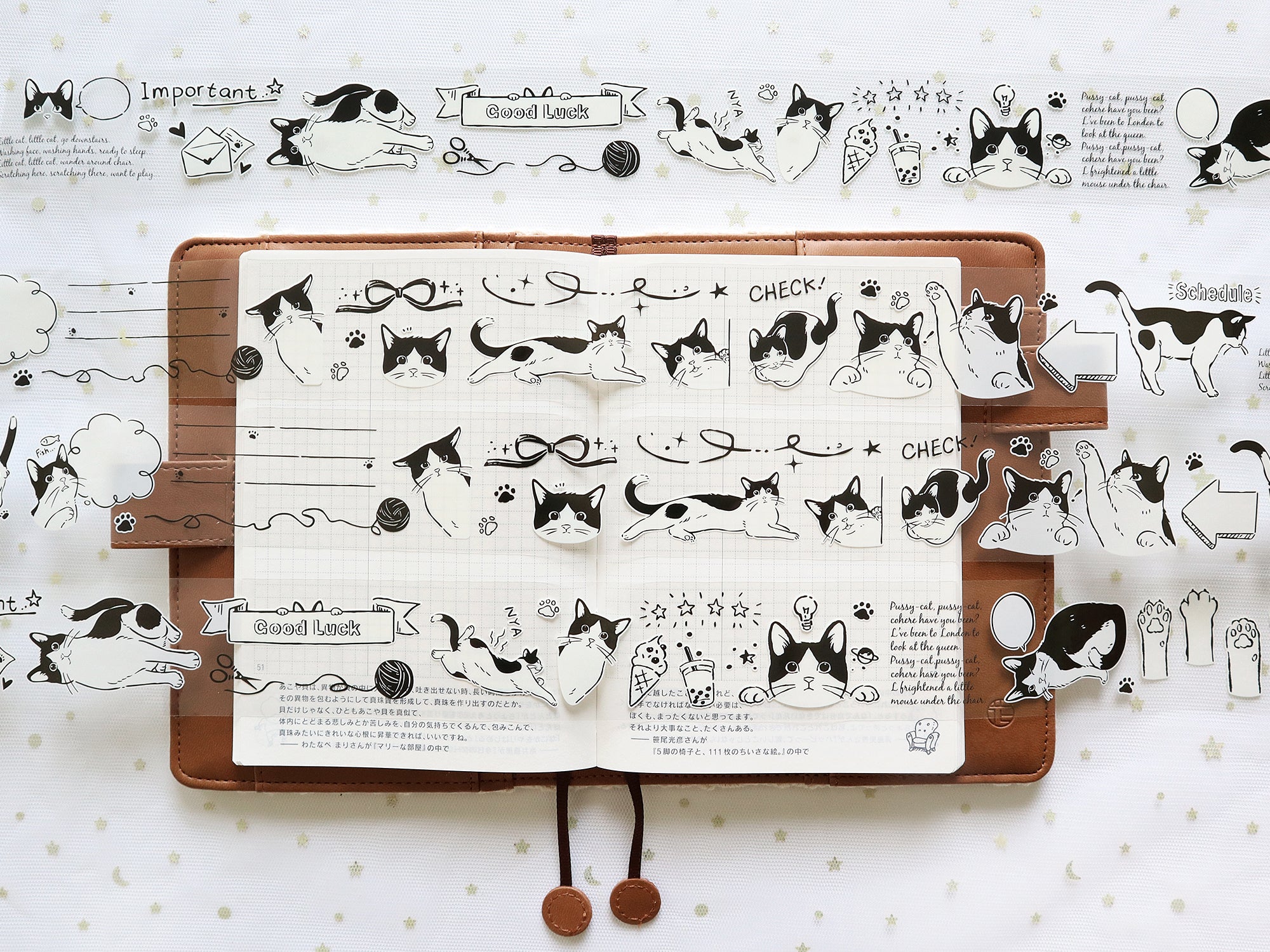 Frolicking Cats: Playtime PET Tape