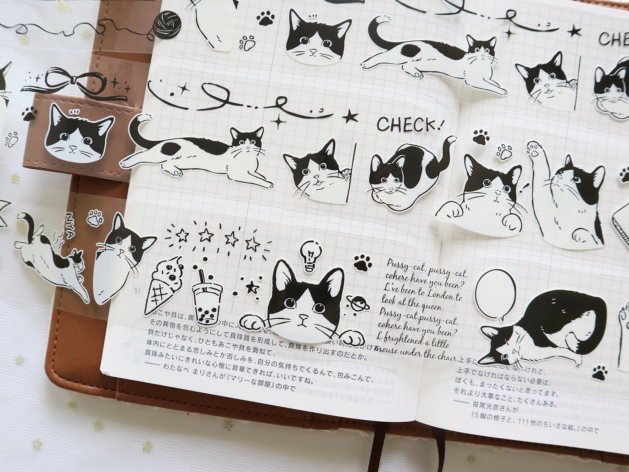 Frolicking Cats: Playtime PET Tape