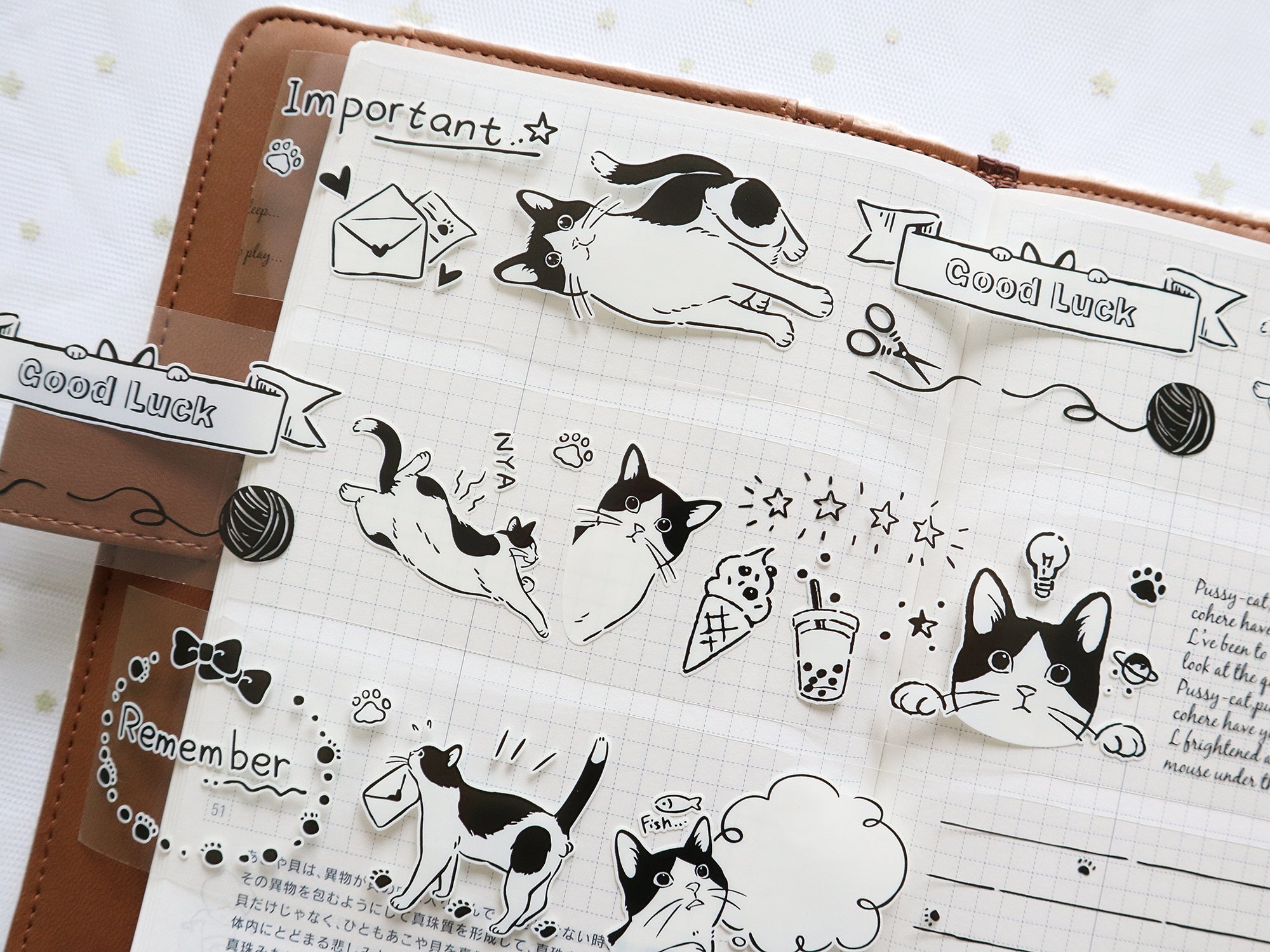 Frolicking Cats: Playtime PET Tape