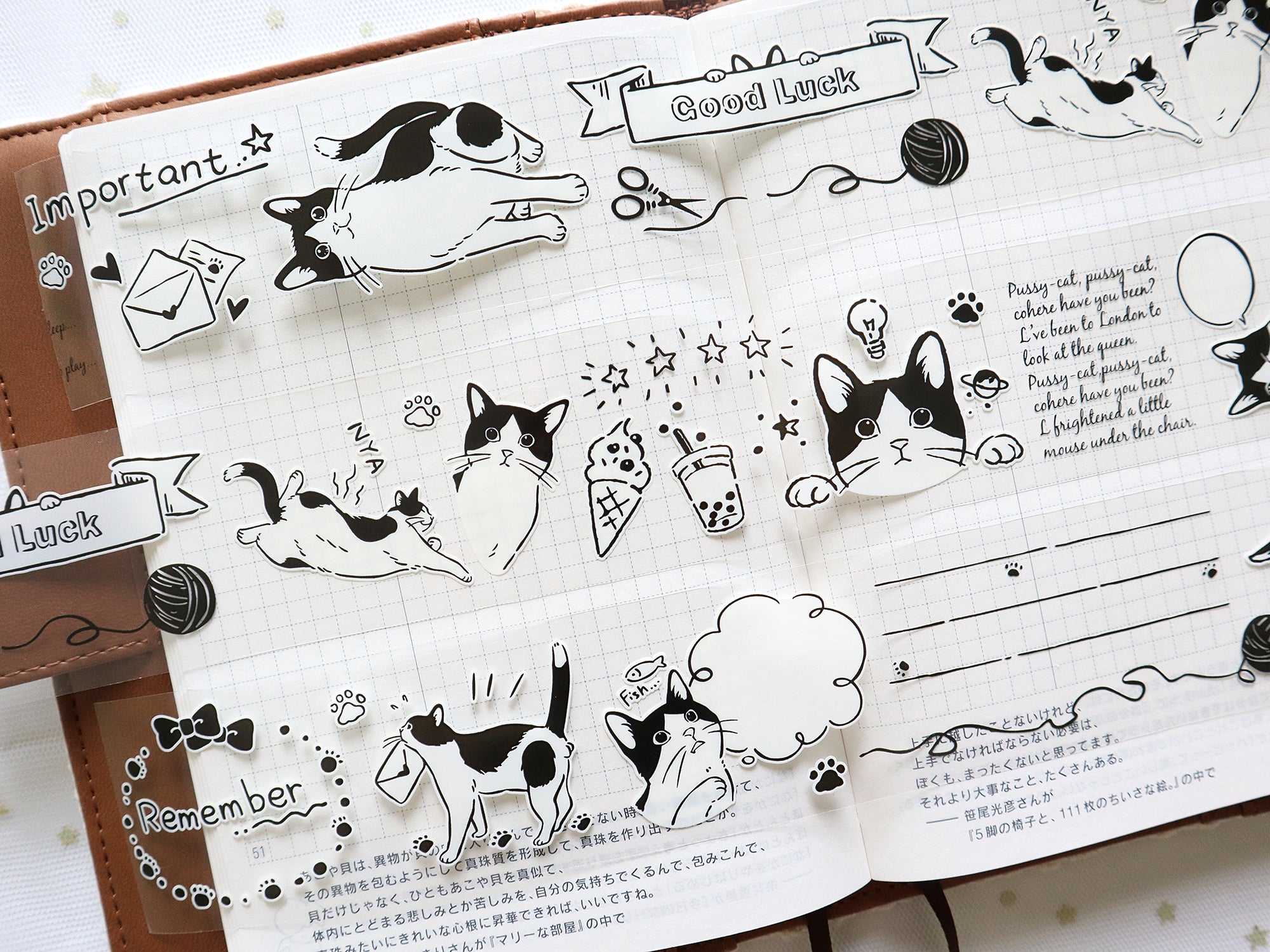 Frolicking Cats: Playtime PET Tape